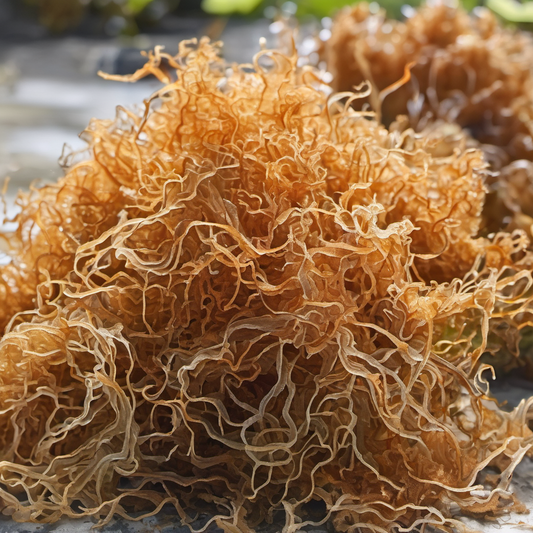 Is Sea Moss the new "FAD" or is it actually legit?