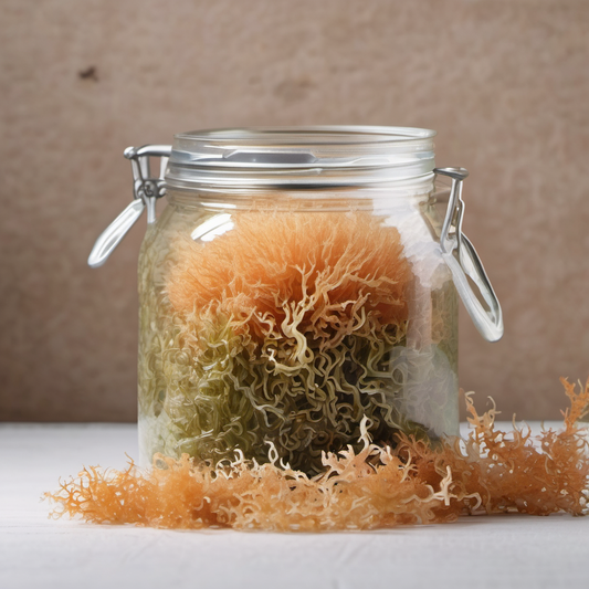 What is all the hype about Sea Moss?