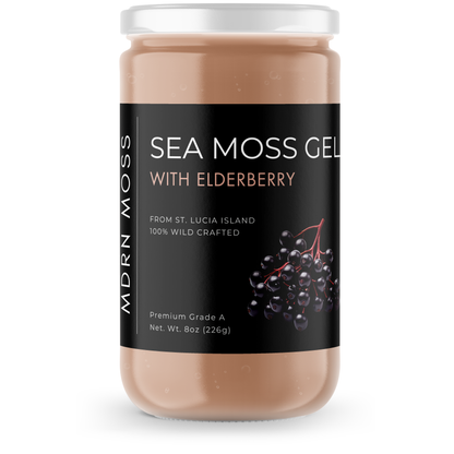 Sea Moss Gel with ElderBerry - MDRN Moss