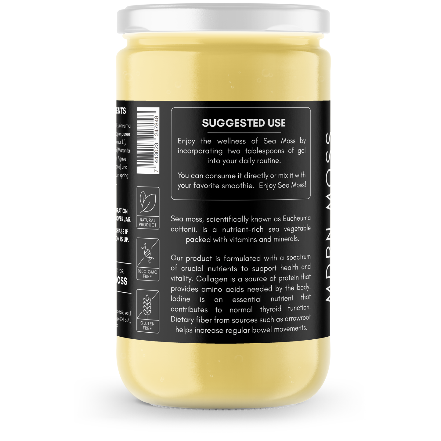 Sea Moss Gel with Pineapple - MDRN Moss